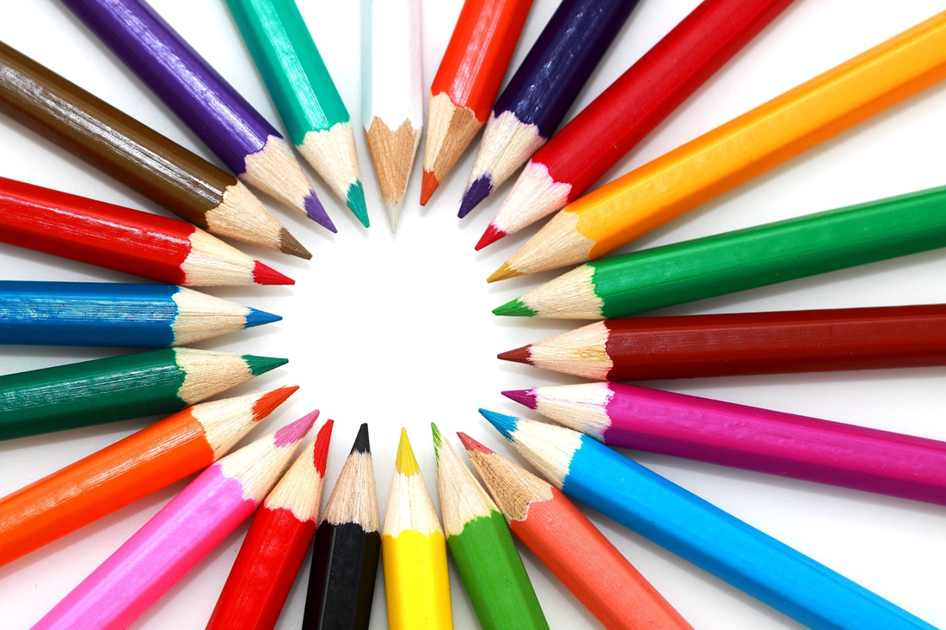 calopsita para pintar